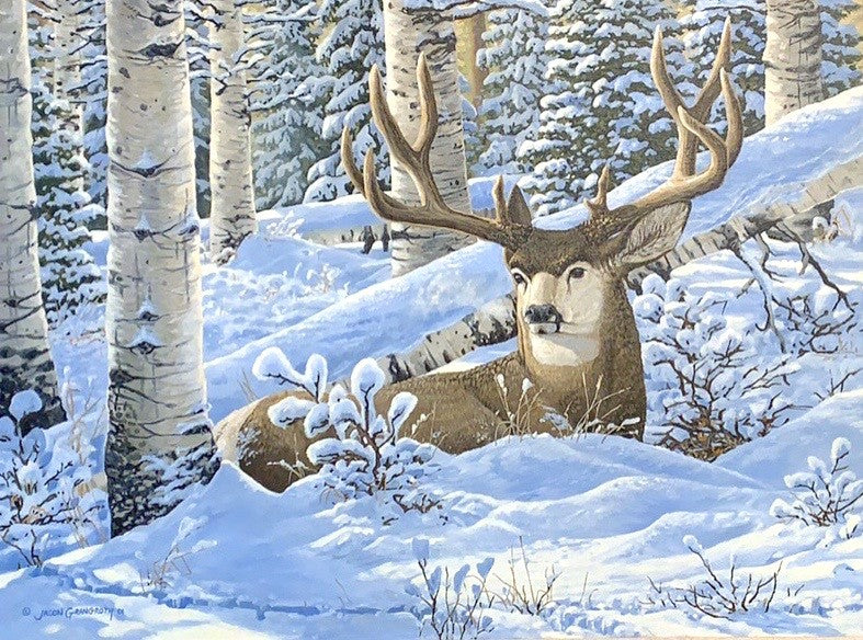 Aspen Buck