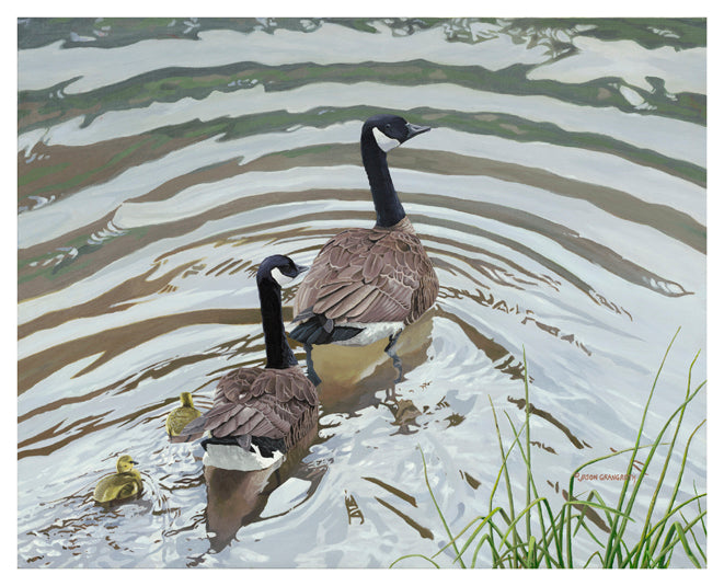 Into the Ripples – Jason G Wild Art